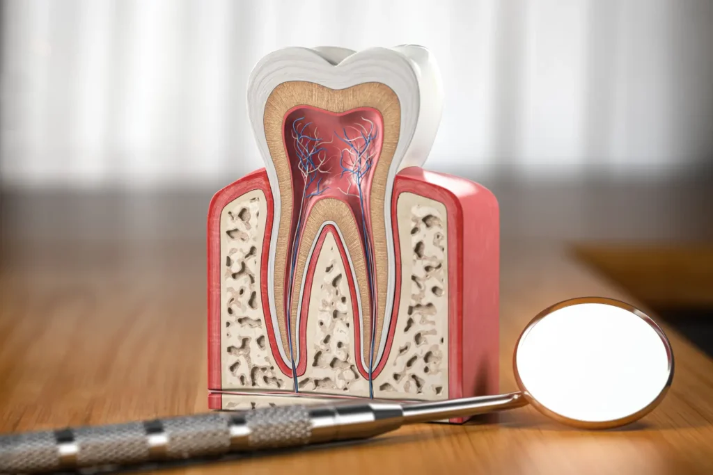 Best Dental Clinic in Ghaziabad